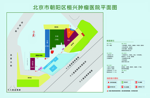 捅逼网站北京市朝阳区桓兴肿瘤医院平面图